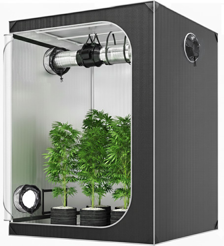 Grow tent - tent,