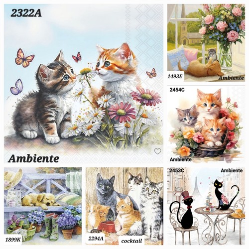 Cats mixed table - 6,