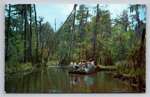 Okefenokee swamp park waycross - okefenokee,