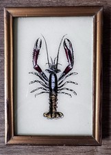 Indian Lobster Vintage Reverse