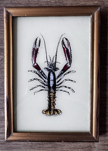 Indian lobster vintage reverse - lobster,