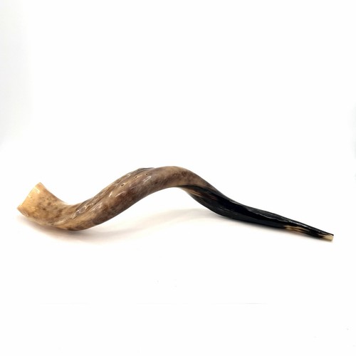 Kosher kudu yemenite - kosher,