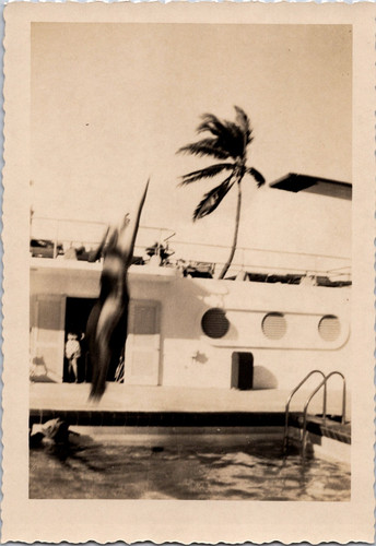 Ph2703 woman diving board - woman,