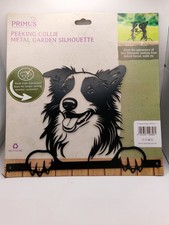 Peeking Border Collie Sheep