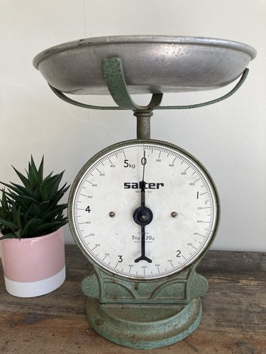 Salter family scalegreen - salter,