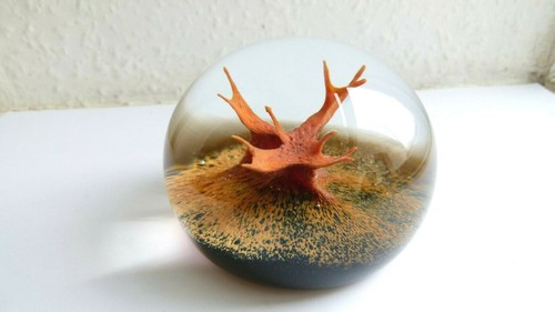Rare caithness paperweight - caithness,