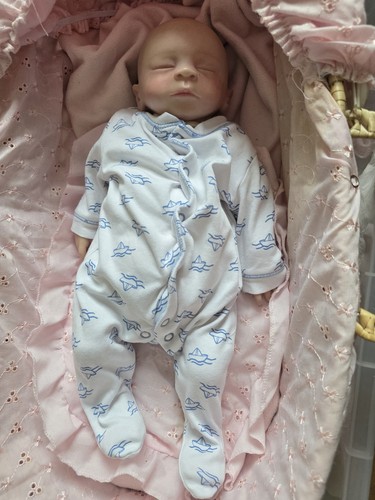 Reborn doll and accessories - reborn,