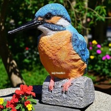 Kingfisher bird garden - bird,