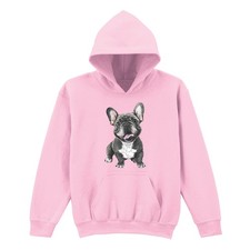 French Bulldog Dog Animals