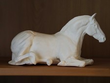 Endo Artist Resin Model Horse