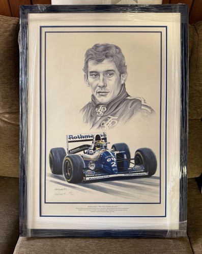 Ayrton senna williams renault - senna,