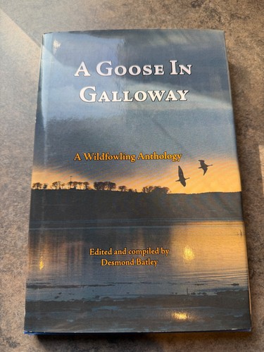 Goose galloway a - galloway,