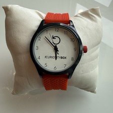 The Curiosity Box Mens Watch