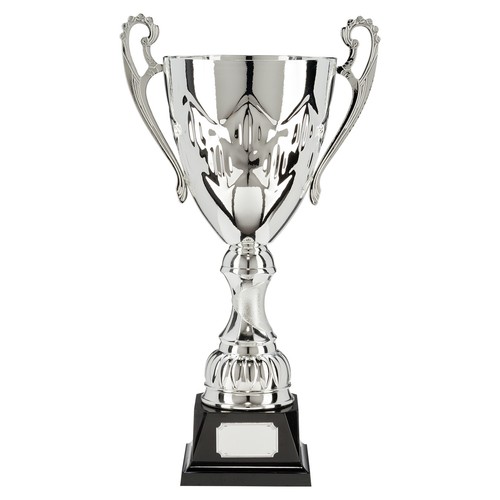 Large silver legacy cups - large,