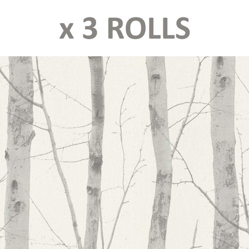 Rolls birch tree - rolls,