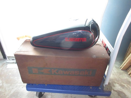 Kawasaki el250 fuel tank - fuel,