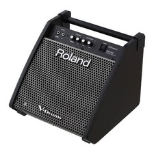 Roland PM-100 80-Watt Personal