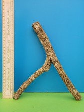 CORK BARK BRANCH 26CM SNAKE