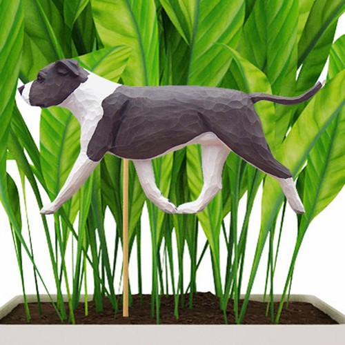 American staffordshire bull - staffordshire,