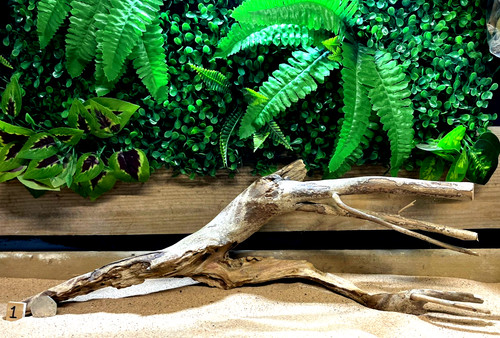 Talawa wood aquascaping - wood,