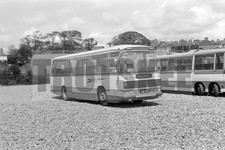 35mm Negative SWT AEC Reliance