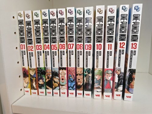 One punch man - one,