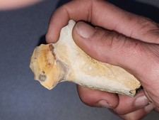 Unusual Flint Tool Blade