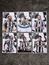 6x A5 Newcastle United Wall