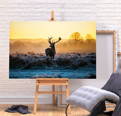 Red stag deep framed - 2,