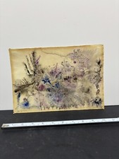 Sjoberg Watercolor On Paper