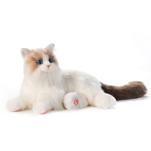 Chongker interactive companion - chongker,