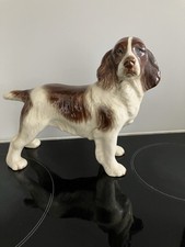 Coopercraft Springer Spaniel