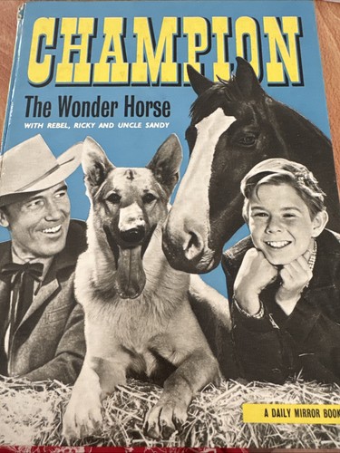 Champion the wonder - wonder, horse