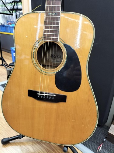 Morris acoustic guitar - morris, w-40