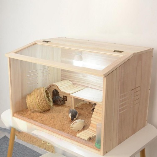 Brooder box for - brooder, quail