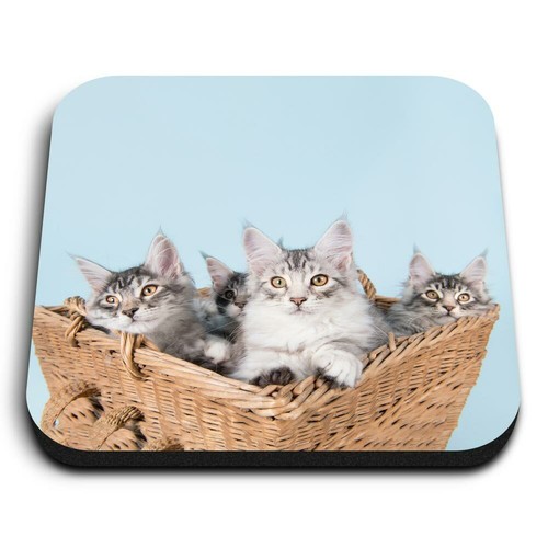 Square mdf magnets - square, cute
