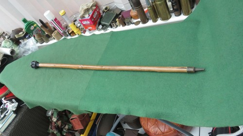 Walking stick with resin - stick,
