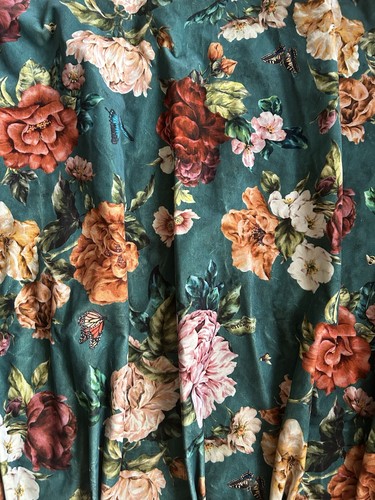 Sanderson summer peony - sanderson,