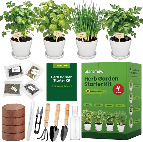 Indoor herb garden starter - starter, kit