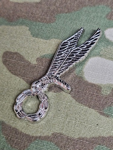 Polish parachutist - polish, /