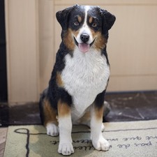 SoReal White & Black