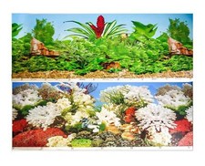 Aquarium Fish Tank Background
