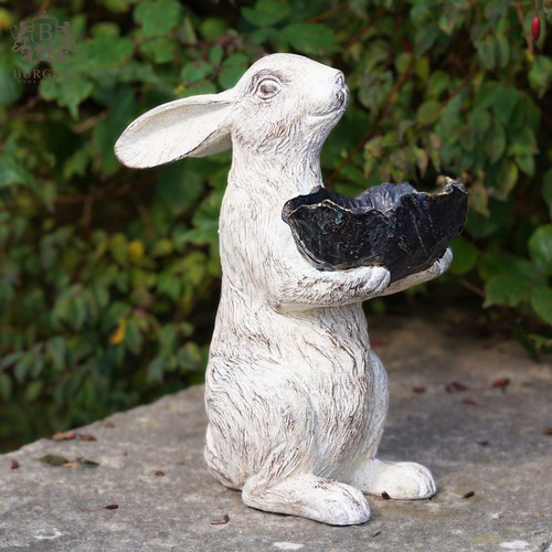 Large hare bird - large, |
