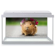 Fish Tank Background 90x45cm -