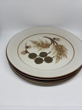 Denby Cotswold Dinner Plates