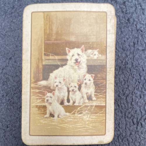 Vintage playing cards set - vintage,
