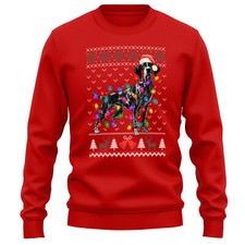 German Longhaired Pointer