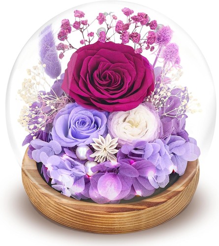 Preserved flowers roses - flowers, in
