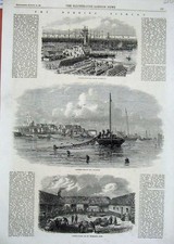 Old Antique Print 1862 Herring