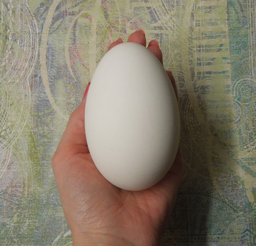 Blown goose egg geese eggs - egg,